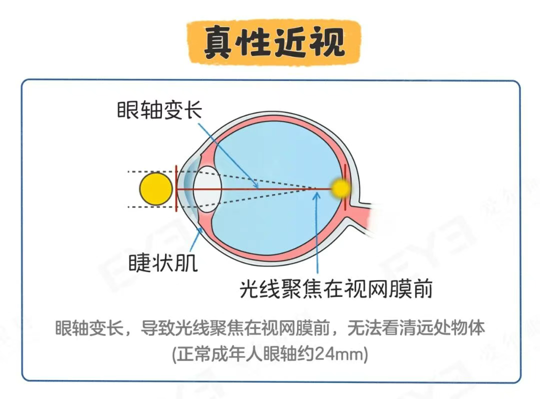 圖片.png 圖片.png