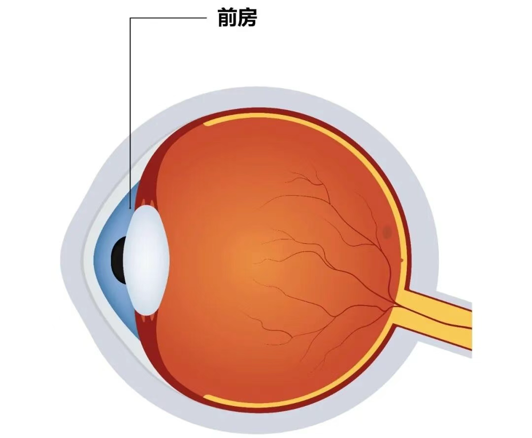 圖片.png 圖片.png